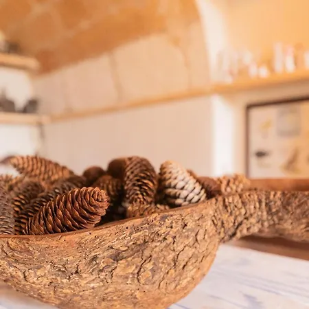 Murtera- Traditional Country Manor House For 9 People 5 Bedrooms And 4 Bathrooms Near Sant Llorenc * מנקור